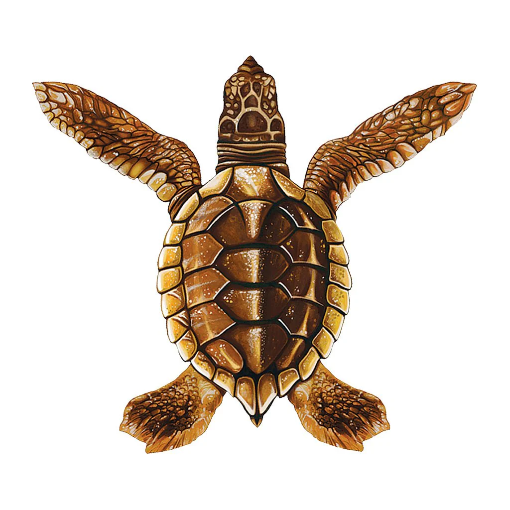 Baby Turtle A - Brown - Pool Mosaic
