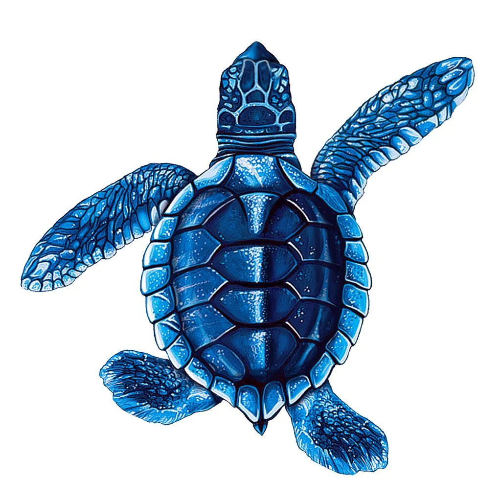 Baby Turtle B - Blue - Pool Mosaic