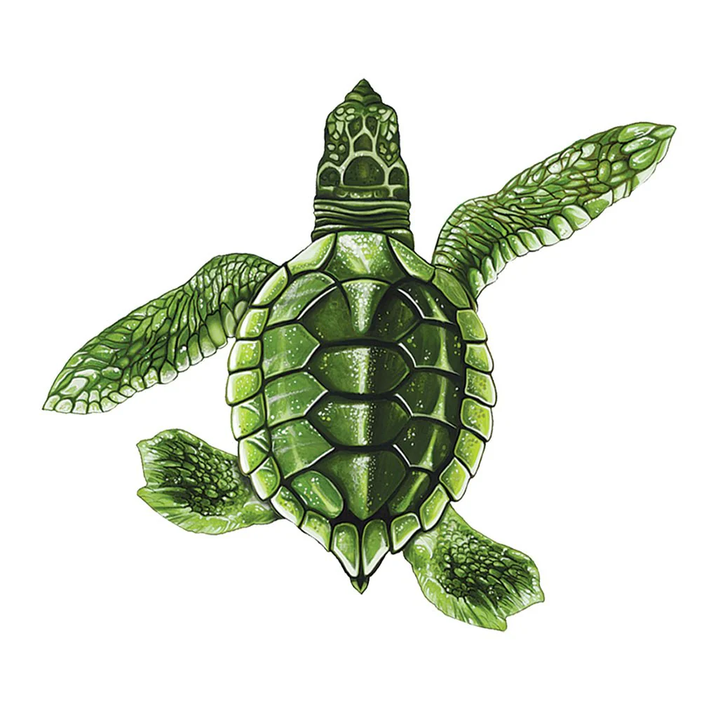 Baby Turtle B - Green - Pool Mosaic