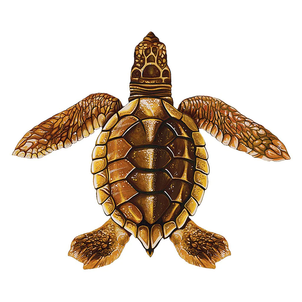 Baby Turtle C - Brown - Pool Mosaic