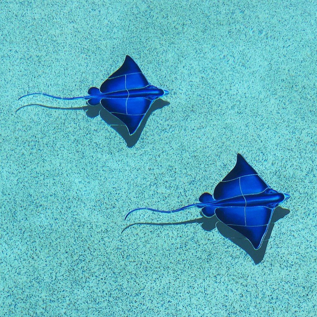Blue Ray w/Shadow - Pool Mosaic - Image 2