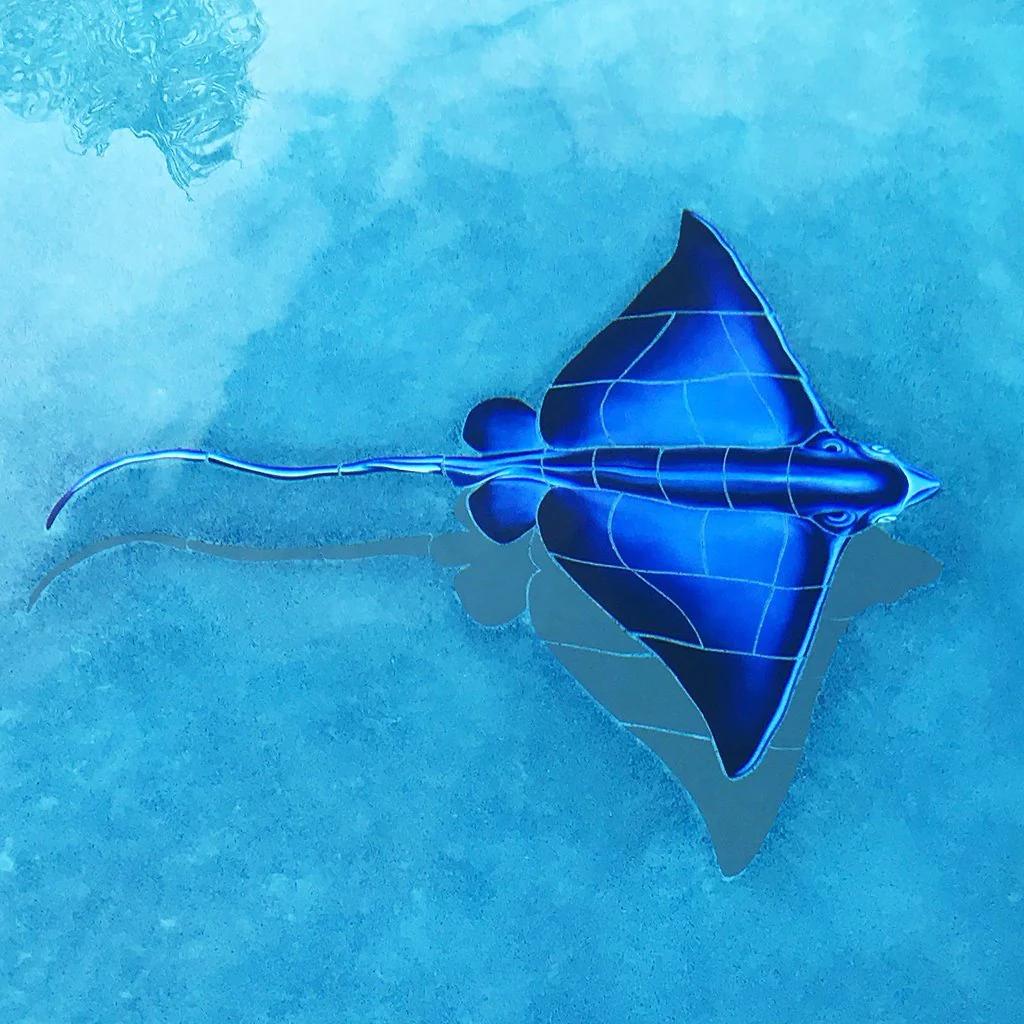 Blue Ray w/Shadow - Pool Mosaic - Image 3