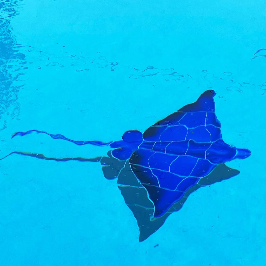 Blue Ray w/Shadow - Pool Mosaic - Image 2