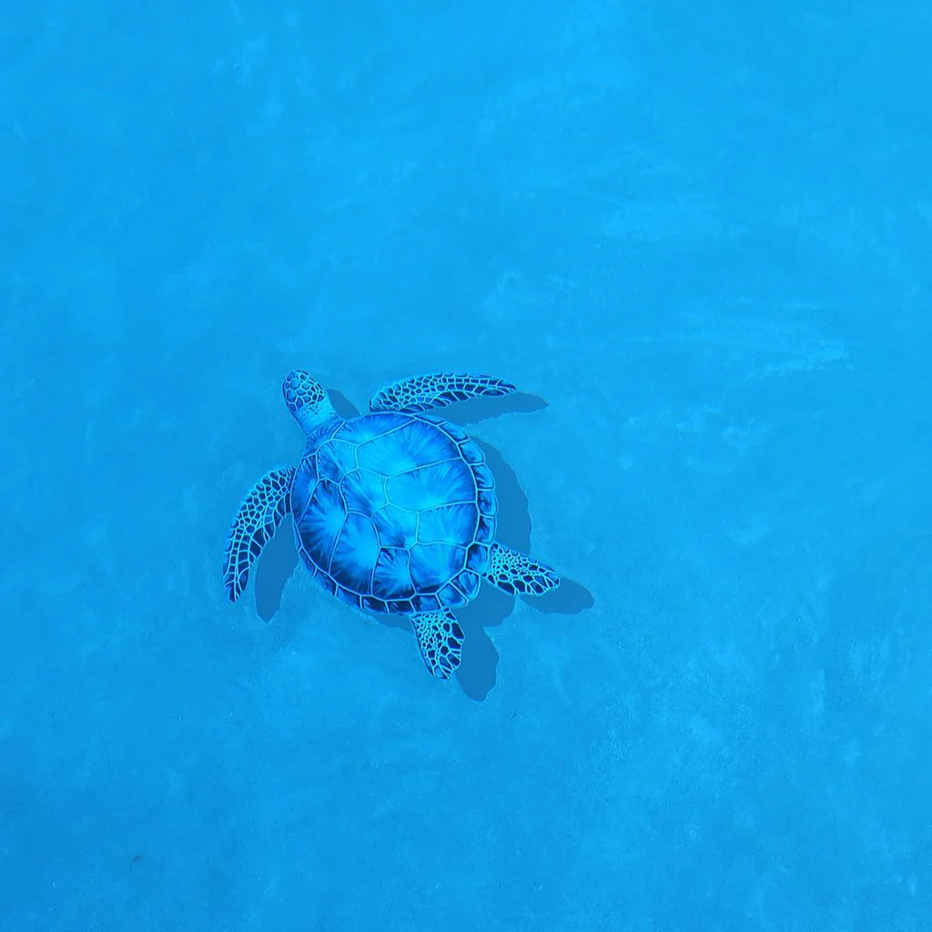 Blue Sea Turtle w/Shadow - Pool Mosaic - Image 4