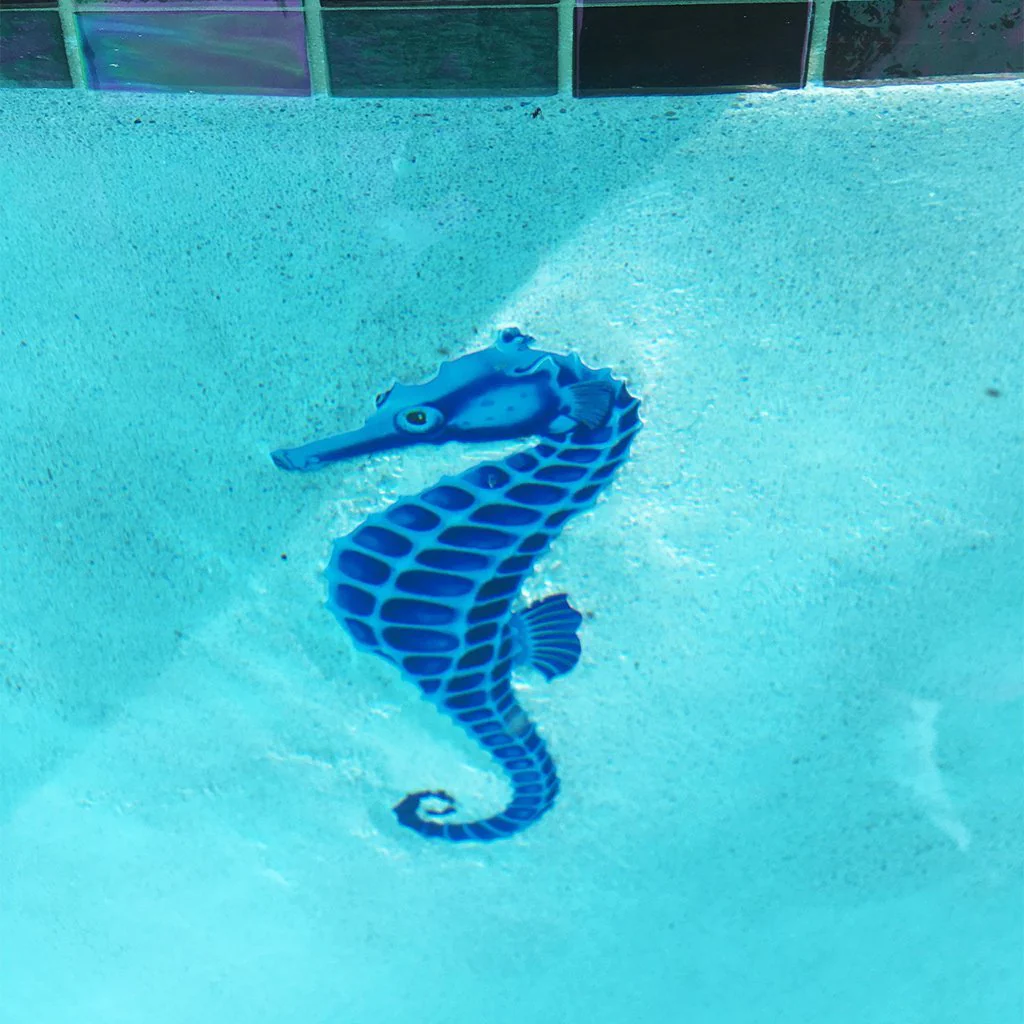 Blue Seahorse - Pool Mosaic - Image 3