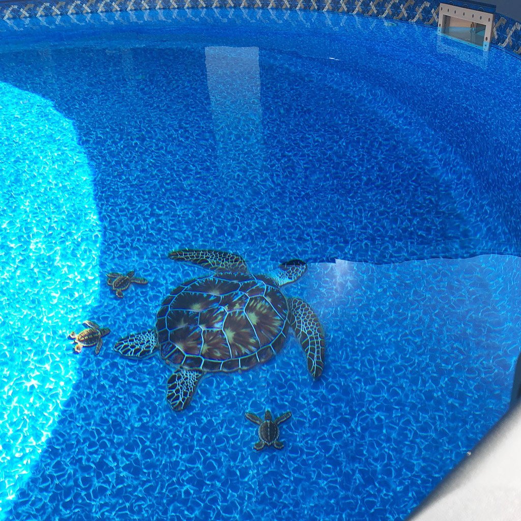 Brown Turtle - Pool Mosaic - Image 5