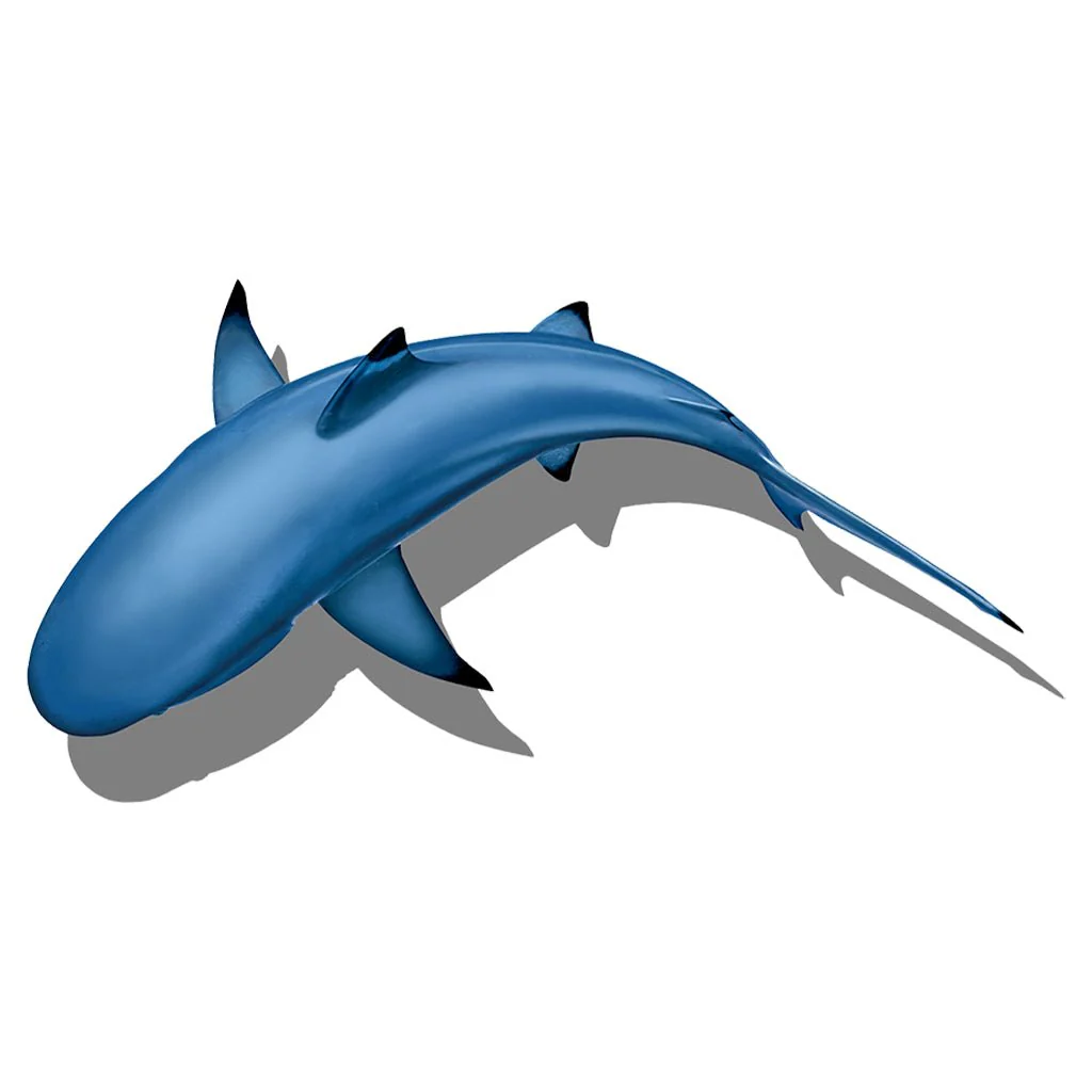 Circling Shark with Shadow #1 - Pool Mosaic