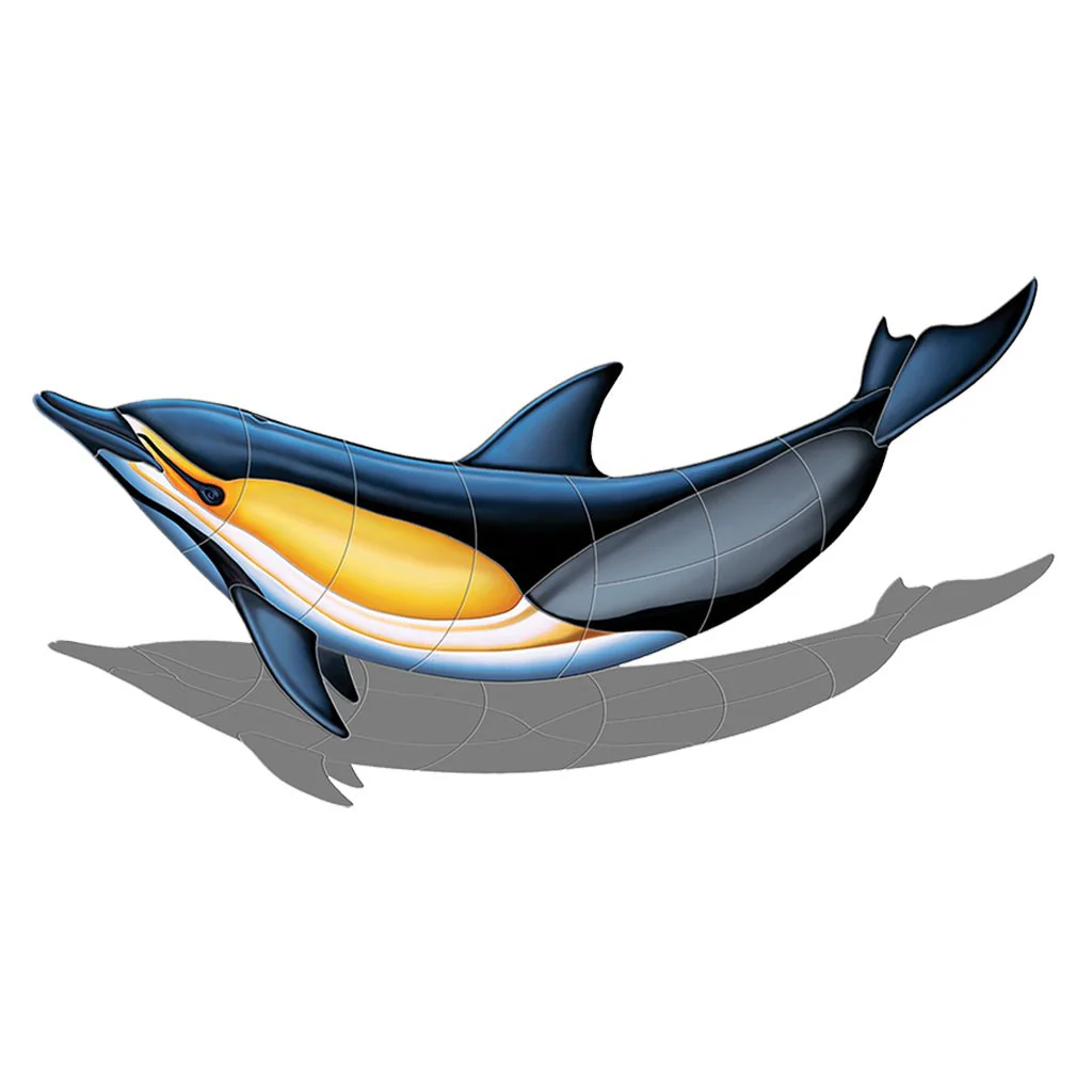 Common Dolphin - B w/Shadow, Porc - Pool Mosaic