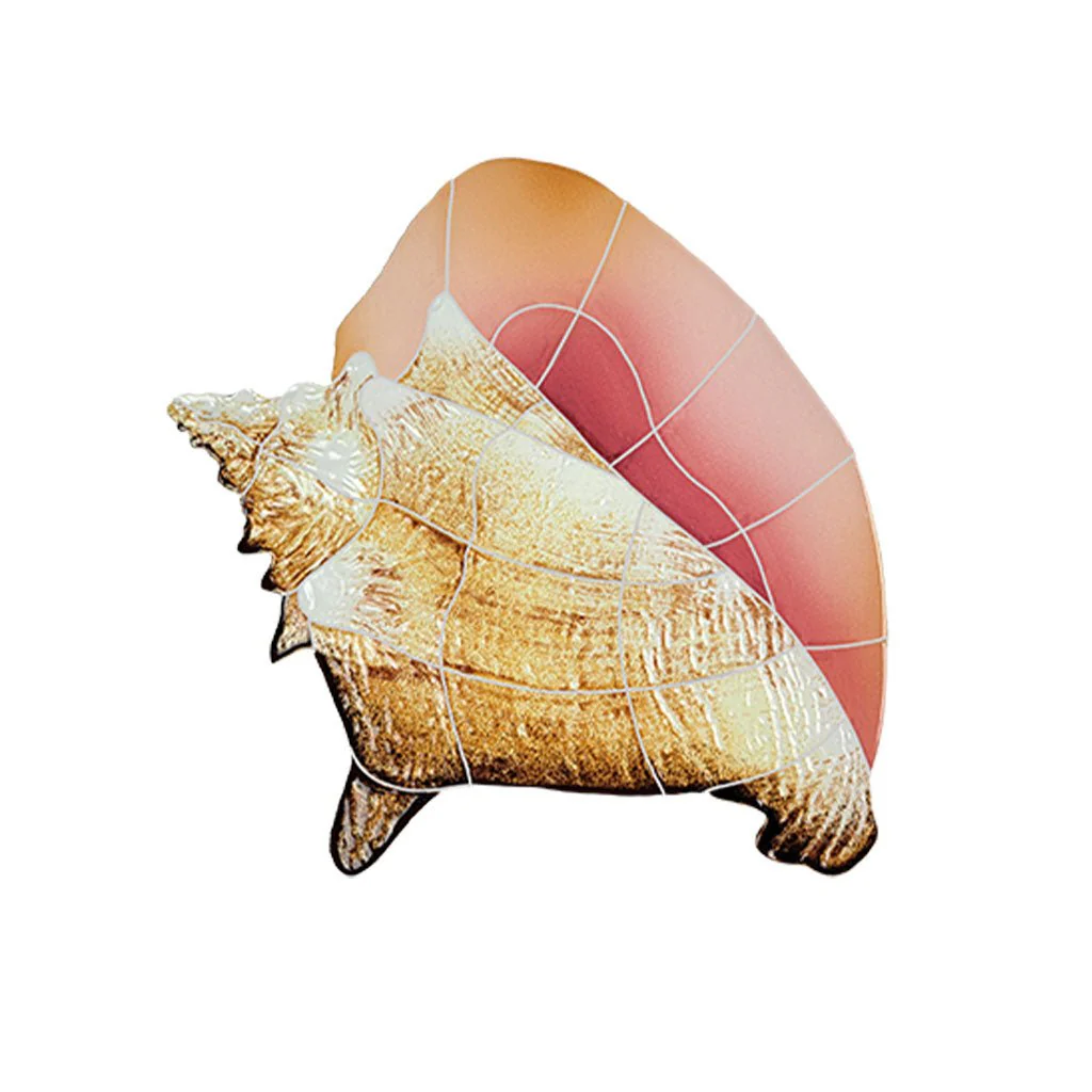 Conch Shell - Pool Mosaic