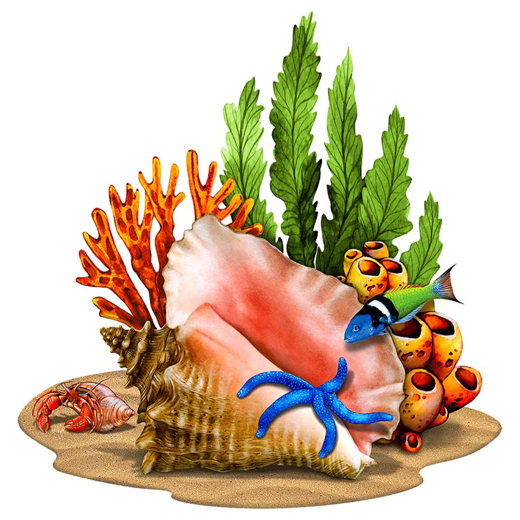 Conch with Grass - Pool Mosaic