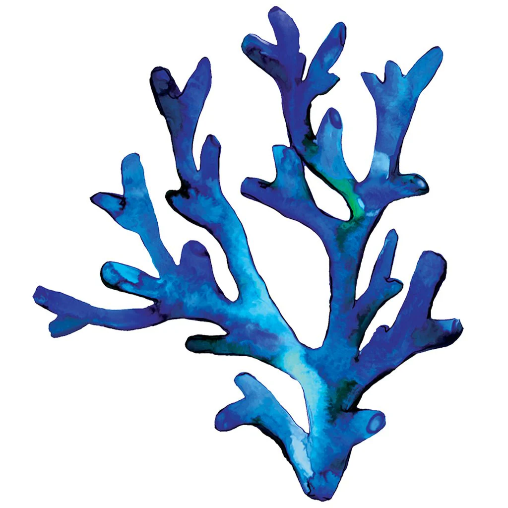 Coral Branch - Pool Mosaic