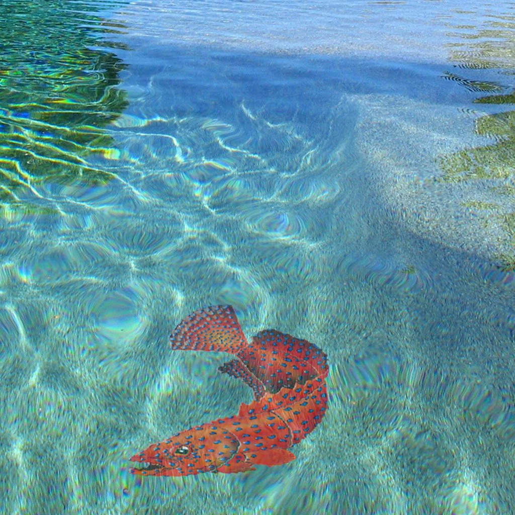 Coral Grouper - Pool Mosaic - Image 2