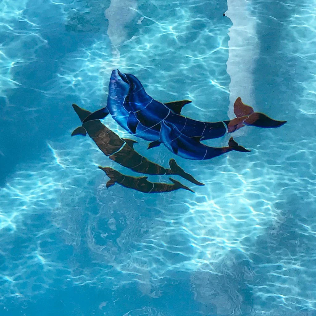 Double Bottlenose Dolphin-B with Baby w/Shadow - Pool Mosaic - Image 2