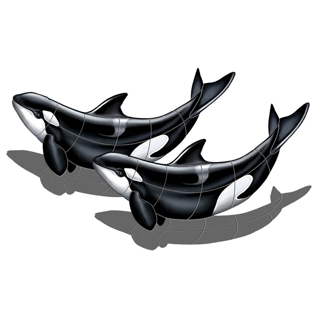 Double Orca w/ Shadow - Pool Mosaic