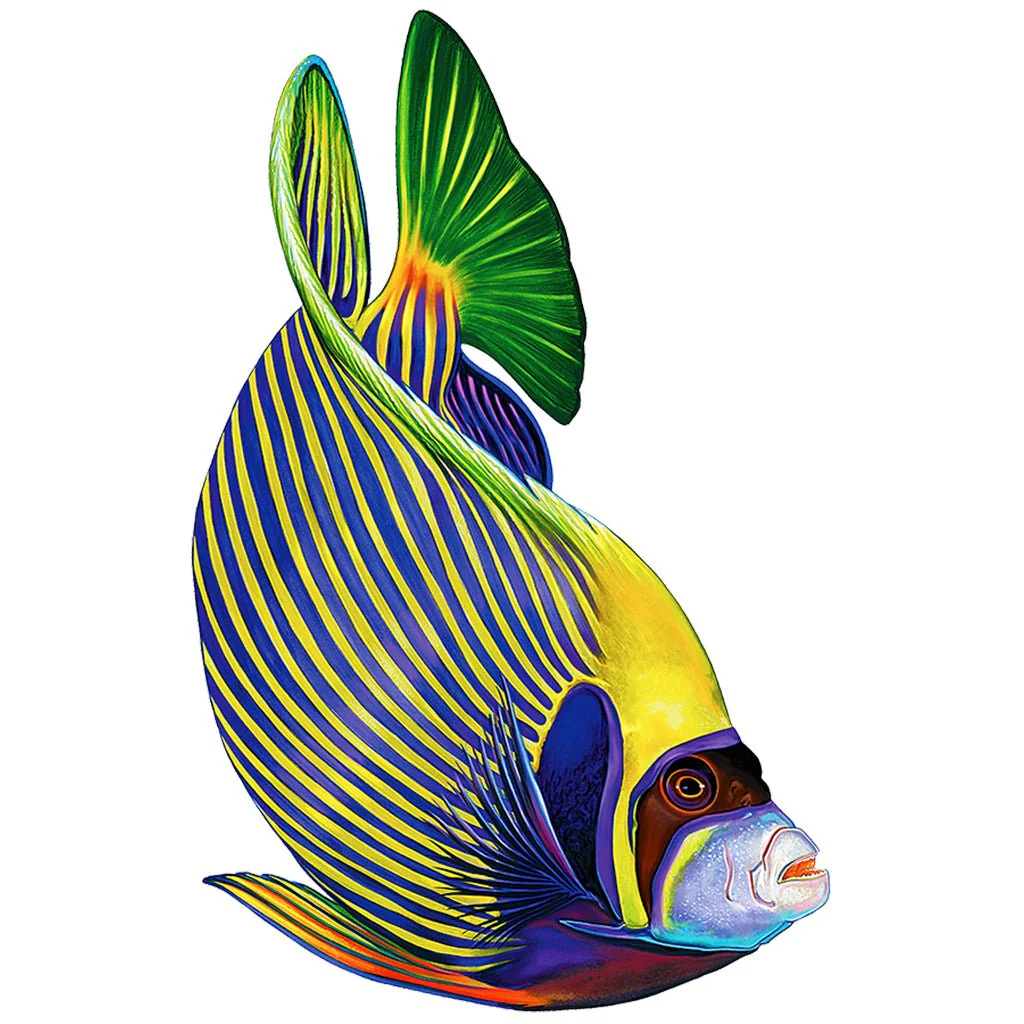Emperor Angelfish - Pool Mosaic