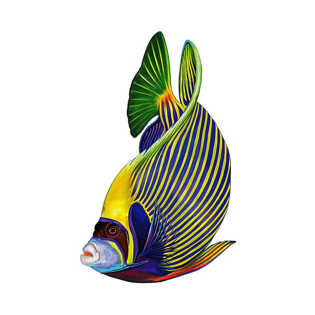 Emperor Angelfish - Pool Mosaic - Image 3