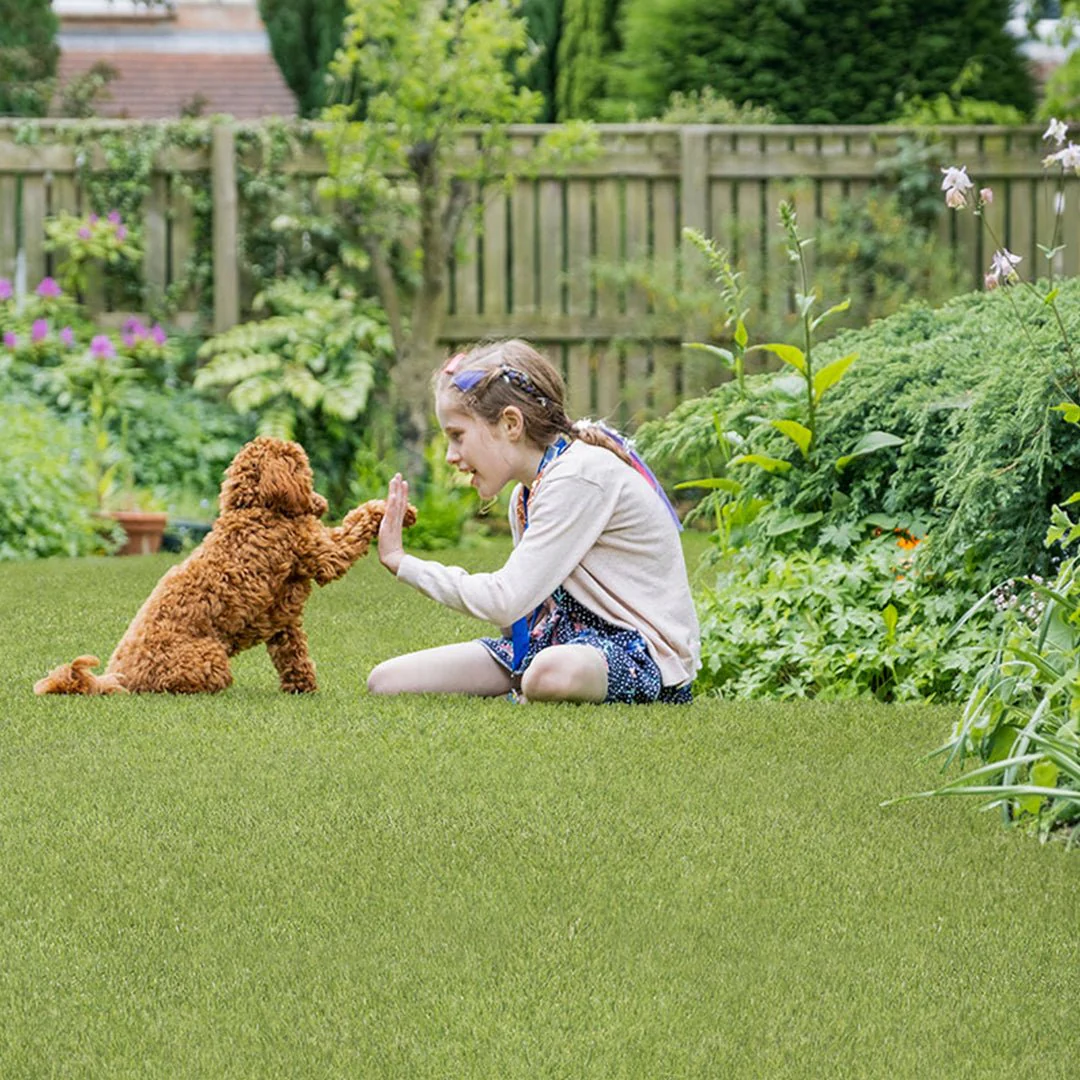 Evergrass Emerald Green Turf 110, 15 Ft Wide - Premium Artificial Grass - Image 4