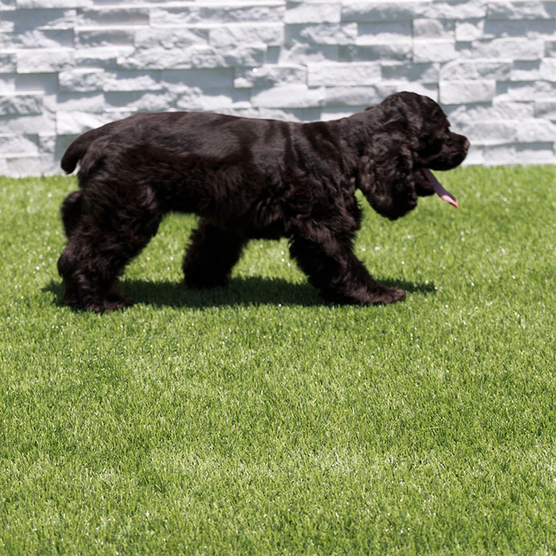 Evergrass Emerald Green Turf 76, 15 Ft Wide - Premium Artificial Grass - Image 6