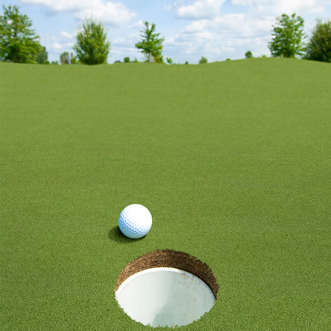 Evergrass Putting Green Turf 78, 15 Ft Wide - Premium Artificial Grass - Image 5
