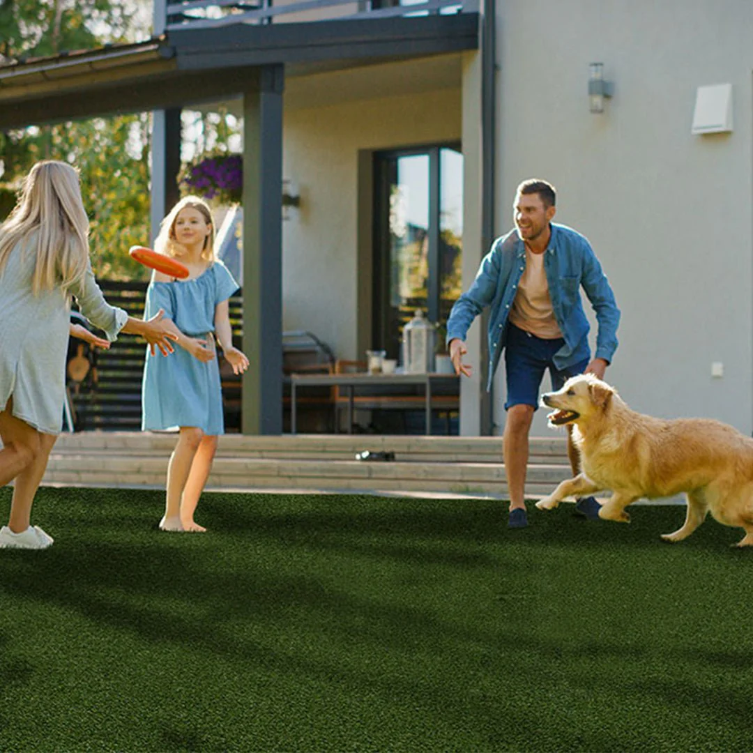 Evergrass Summer Gold 96, 15 Ft Wide - Premium Artificial Grass - Image 3