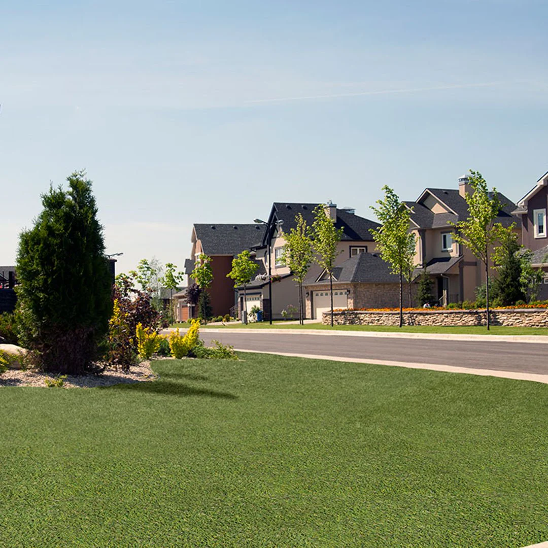 Evergrass Viridian Green Turf 91, 15 Ft Wide - Premium Artificial Grass - Image 3