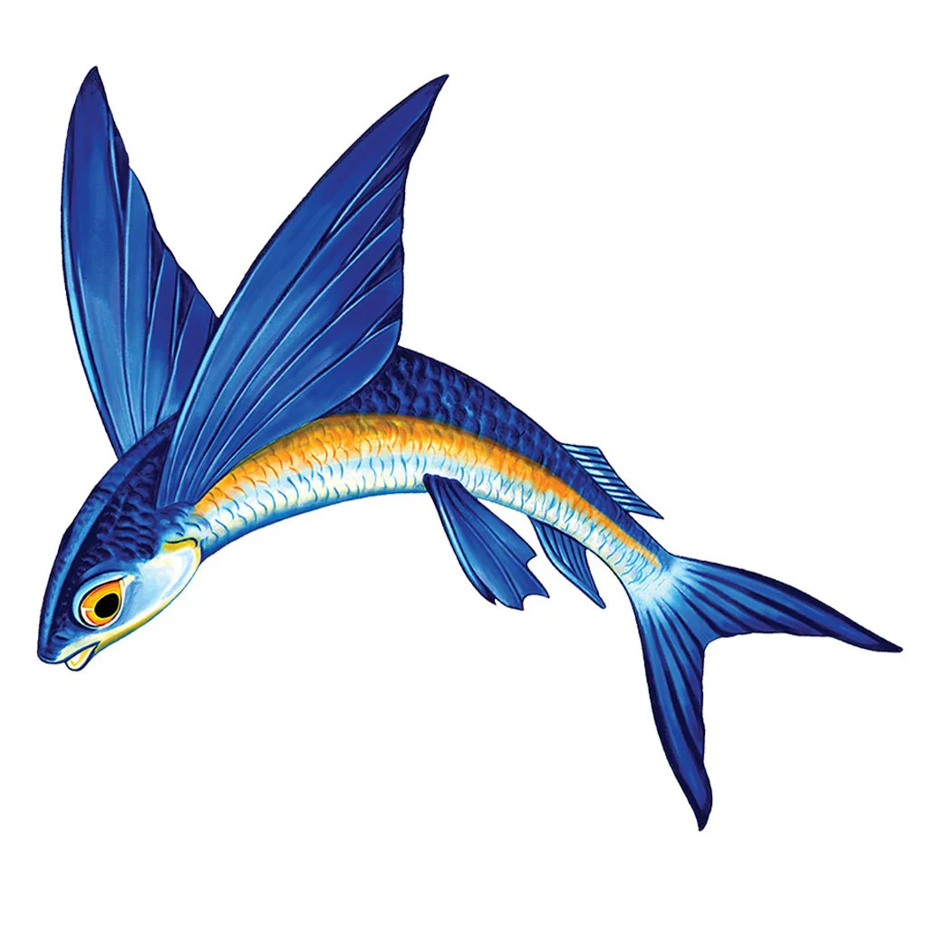 Flying Fish Porc-A Reverse - Pool Mosaic