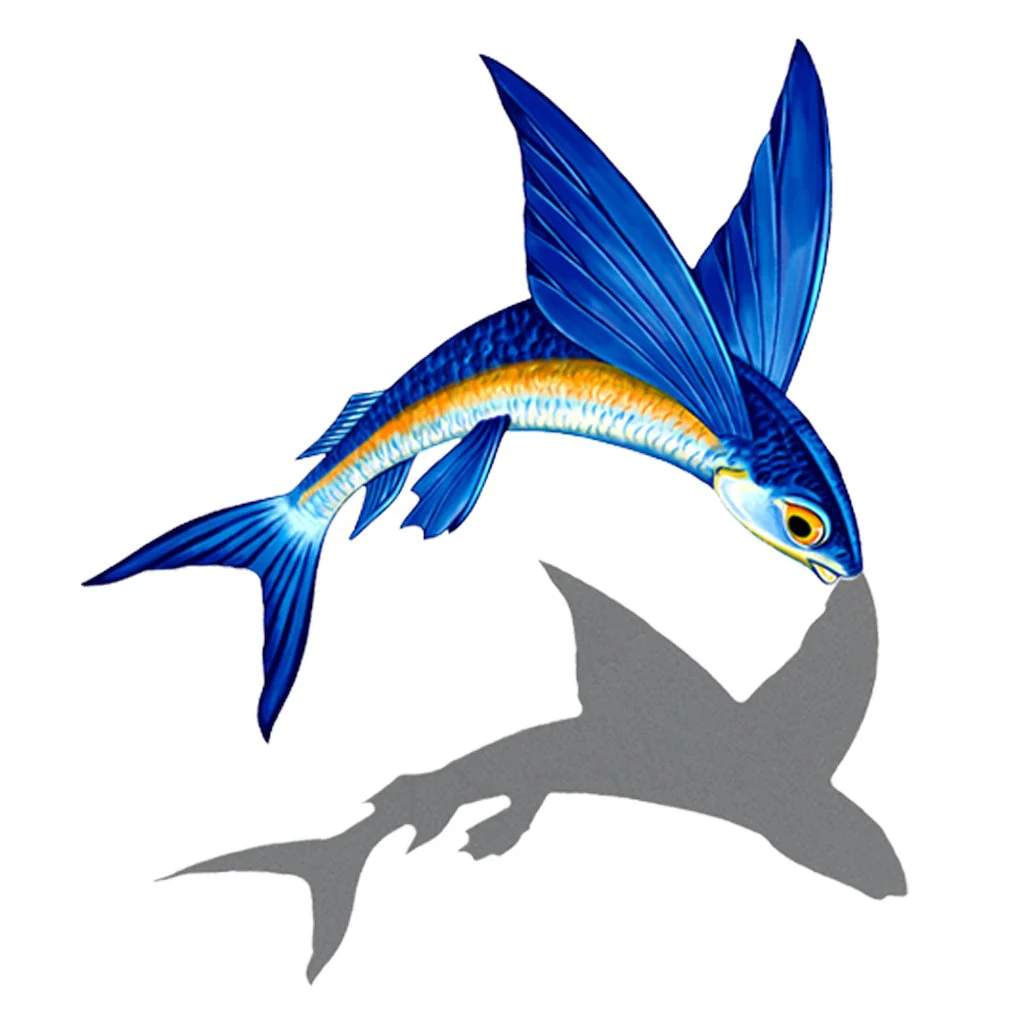 Flying Fish Porc-A w/Shadow - Pool Mosaic