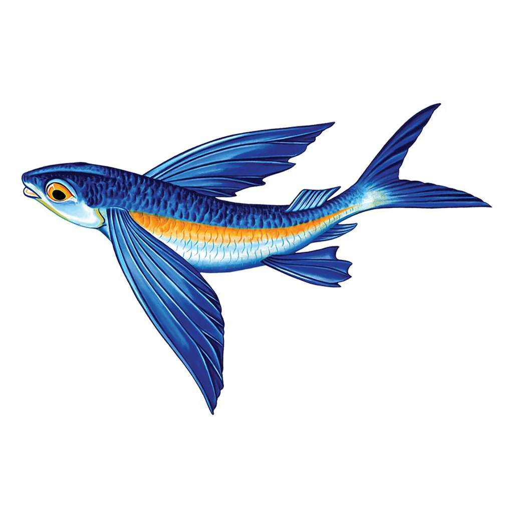 Flying Fish Porc-B Reverse - Pool Mosaic