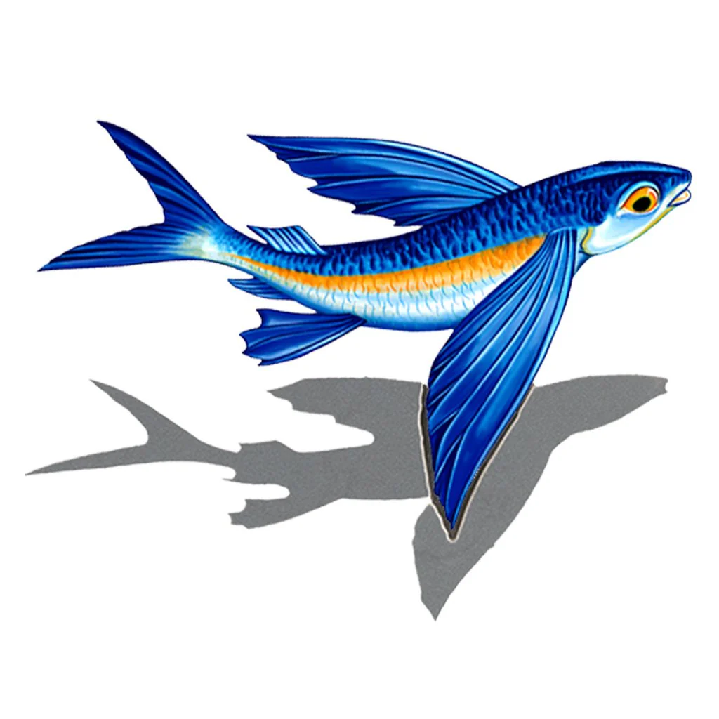Flying Fish Porc-B w/Shadow - Pool Mosaic