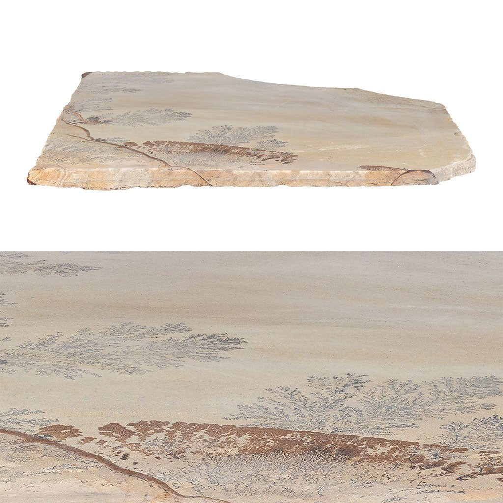 Fossil Sandstone, Random - Flagstone Paver
