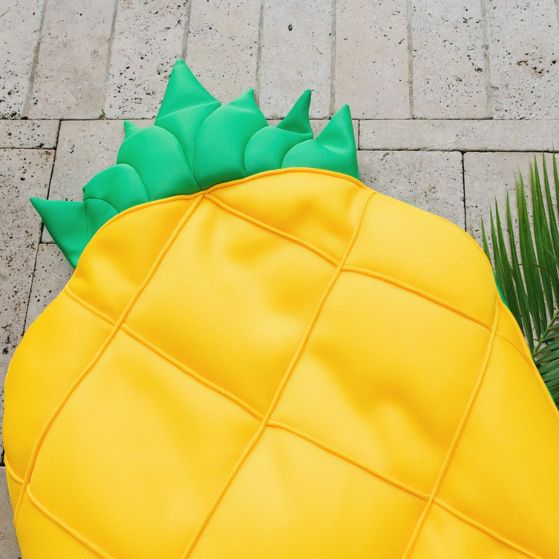 Fruit Float - Pool Float - Image 11