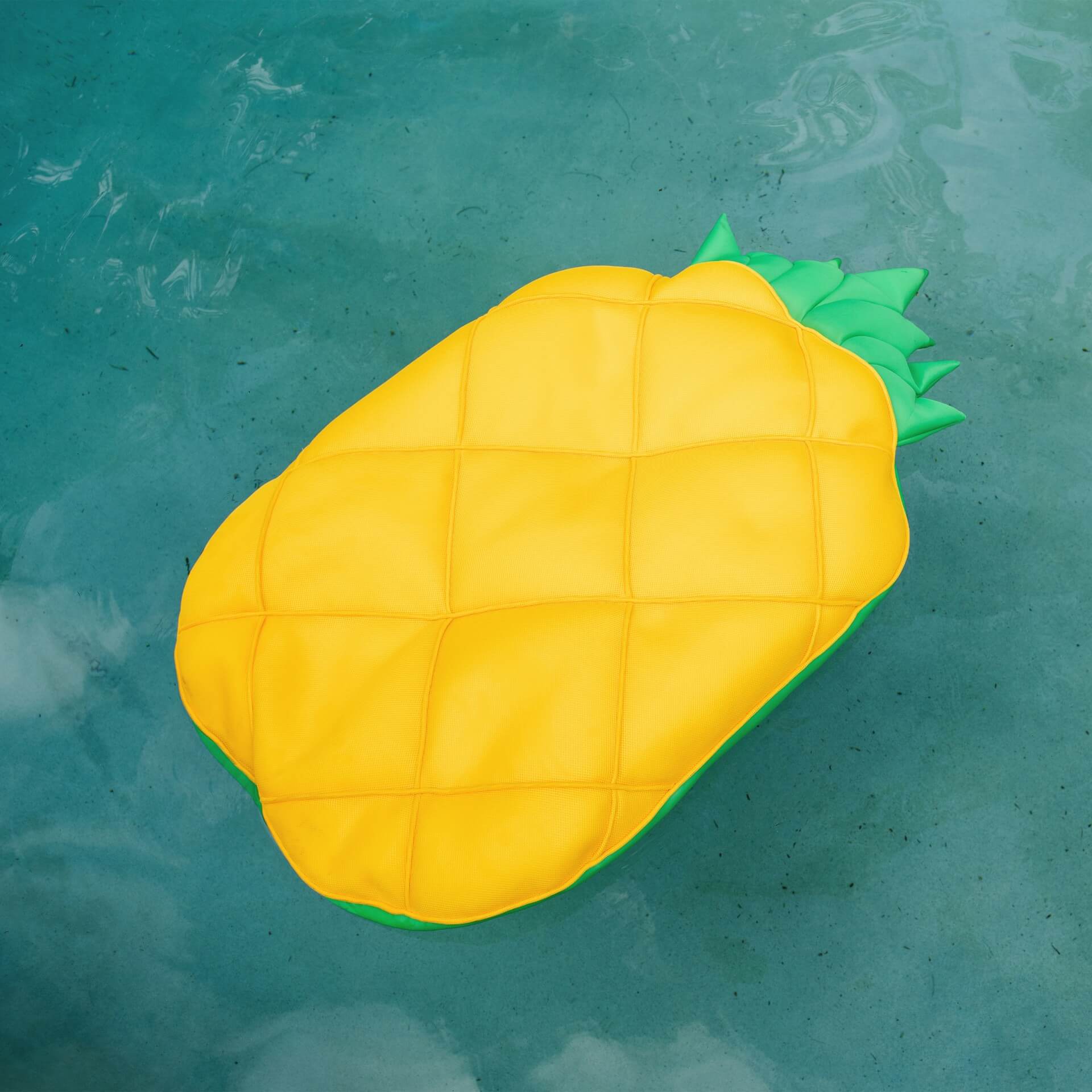 Fruit Float - Pool Float - Image 12