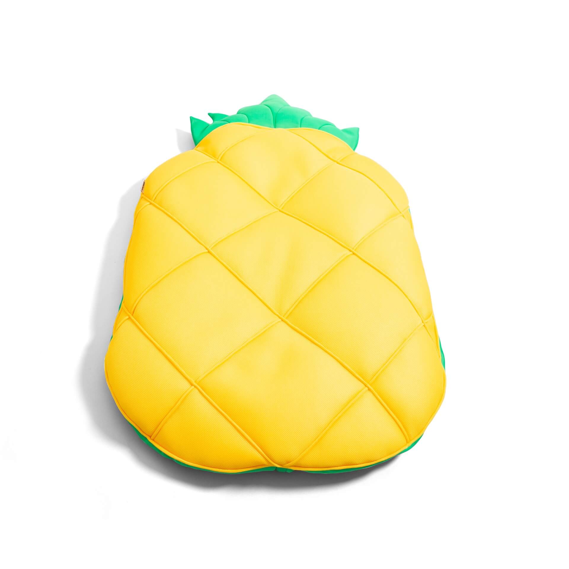 Fruit Float - Pool Float - Image 13