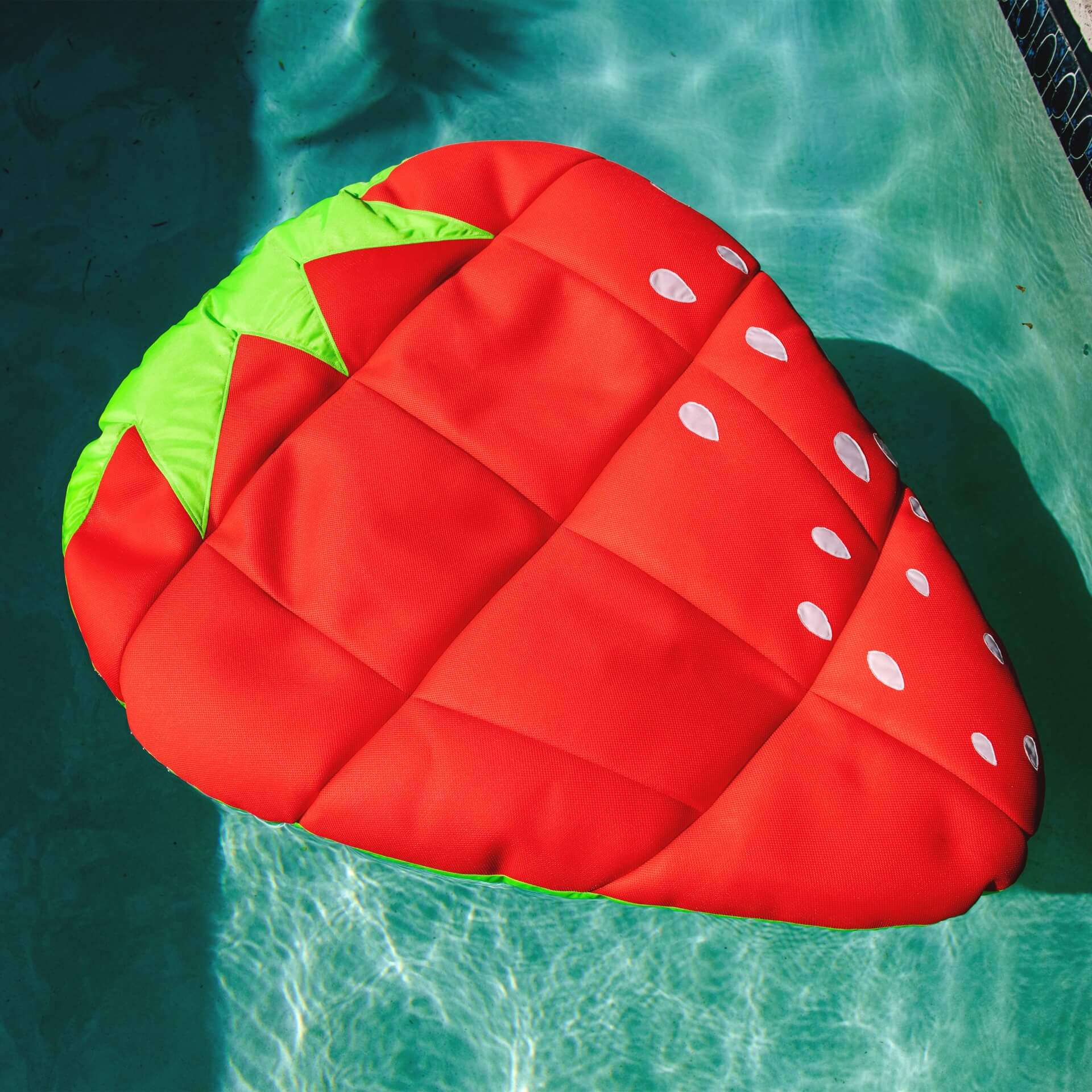 Fruit Float - Pool Float - Image 5