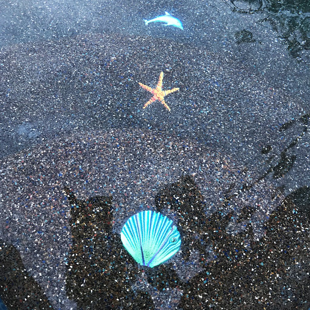 Fusion Seashell - Caribbean - Pool Mosaic - Image 2