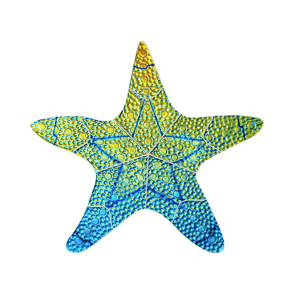 Fusion Starfish, 10" - Rainbow - Pool Mosaic