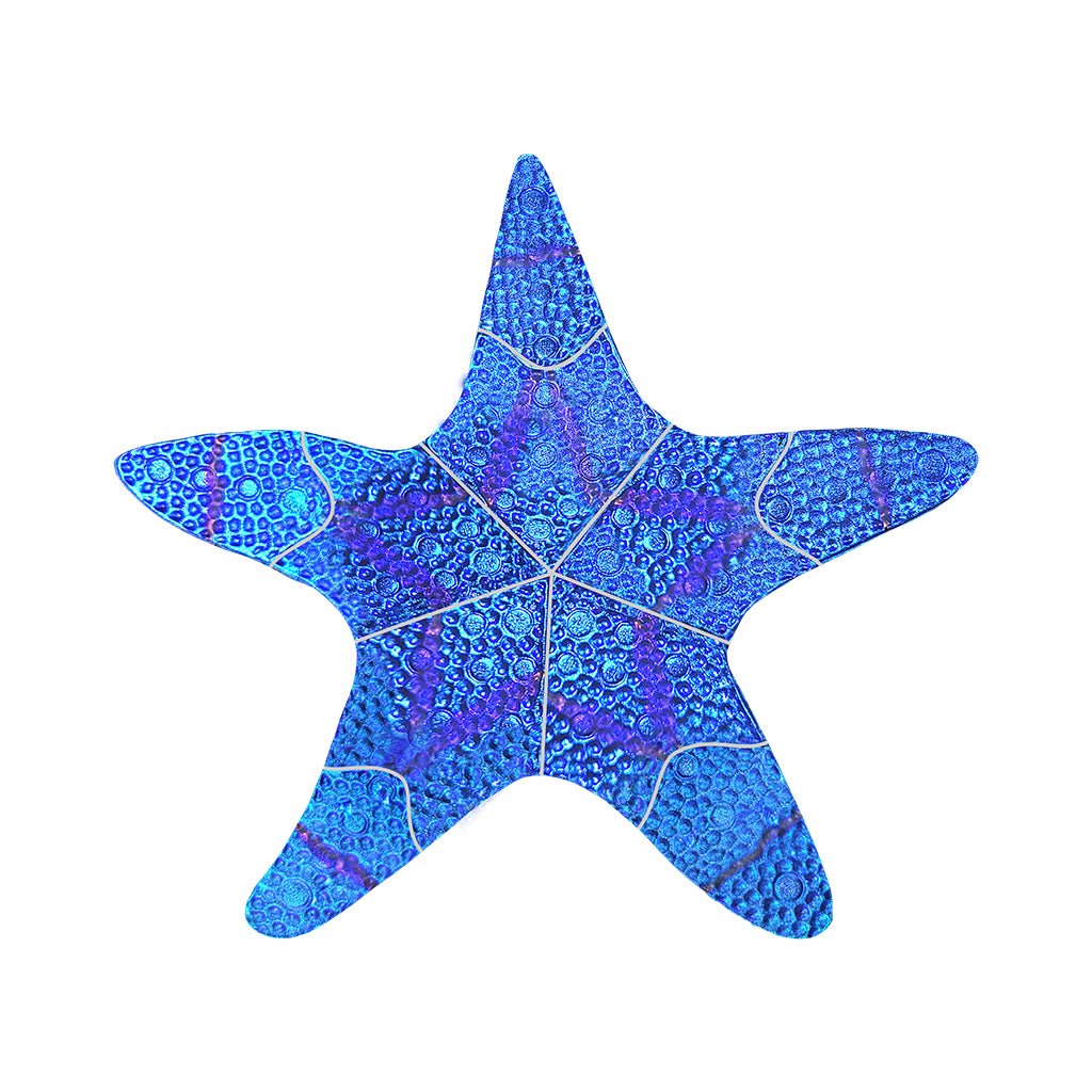Fusion Starfish, 10" - Sapphire - Pool Mosaic