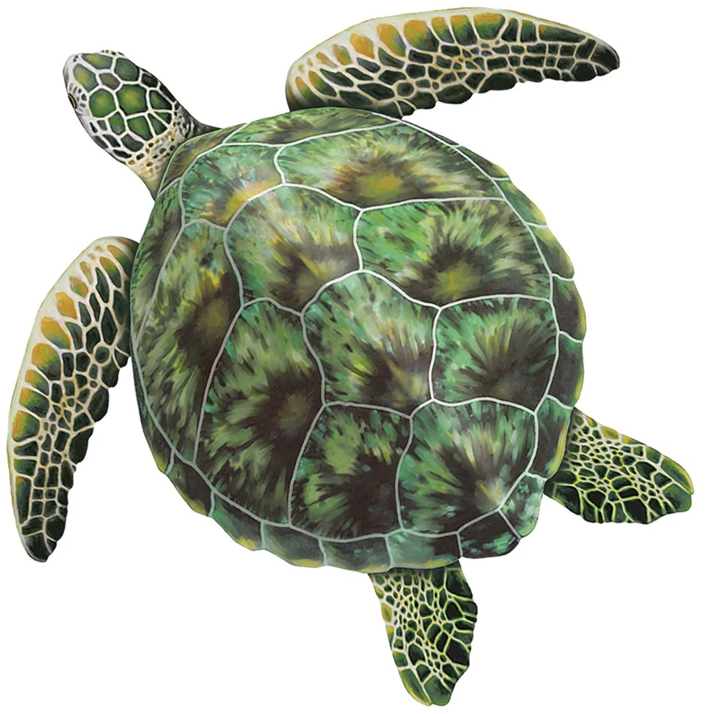 Green Porc Sea Turtle - Pool Mosaic