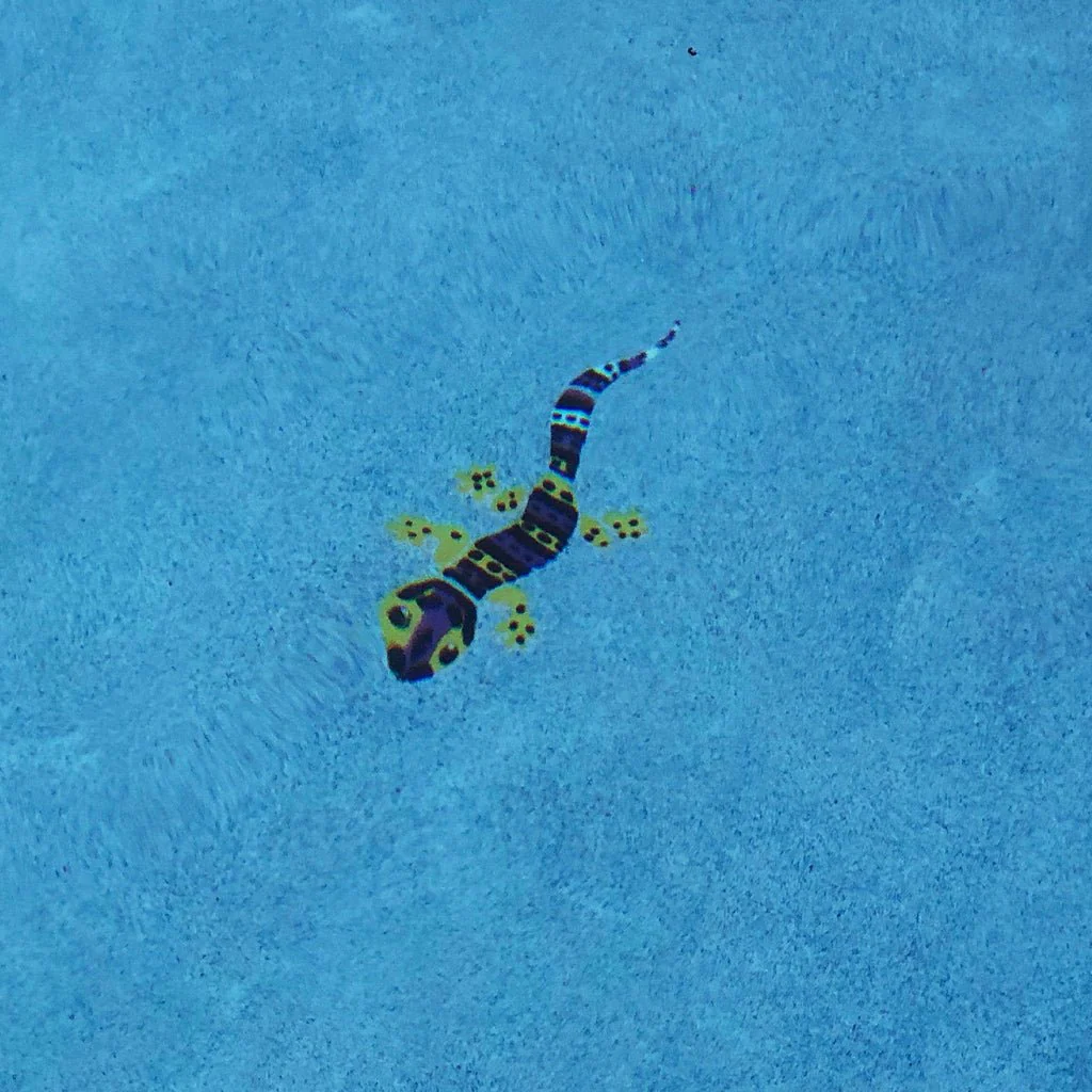 Leopard Gecko - Pool Mosaic - Image 2