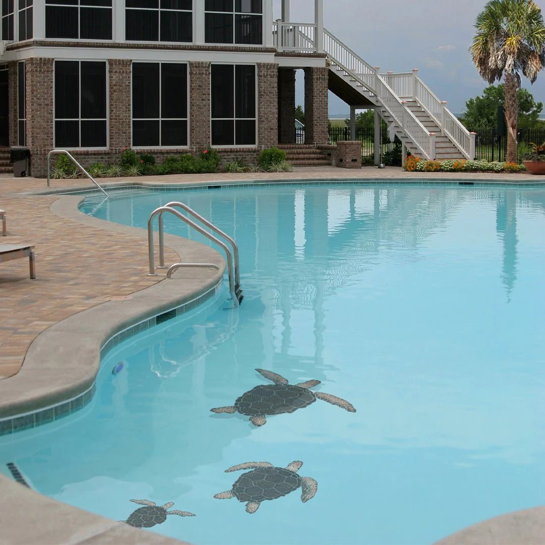 Loggerhead Turtle - Brown w/Shadow - Pool Mosaic - Image 4