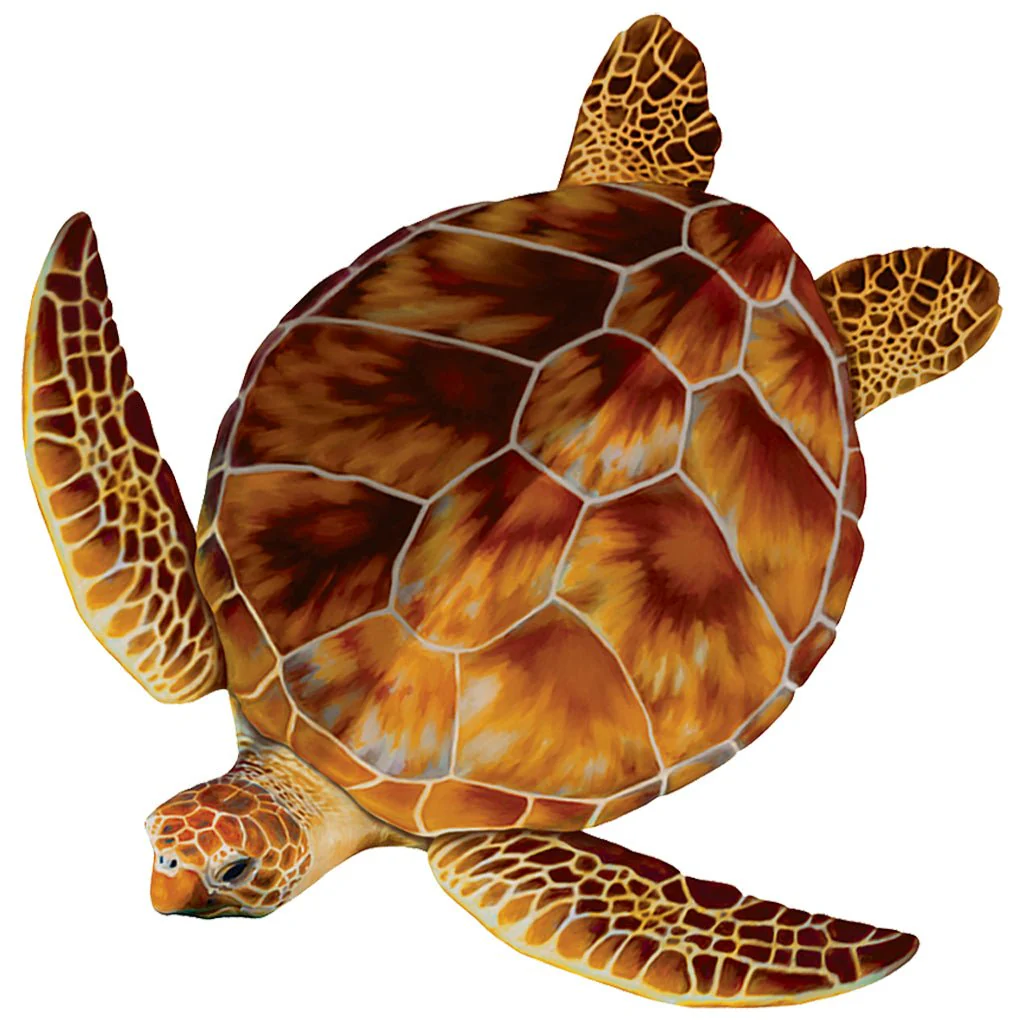 Loggerhead Turtle, Brown - Pool Mosaic
