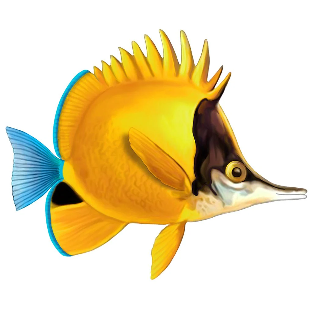 Longnose Butterfly Fish - Pool Mosaic
