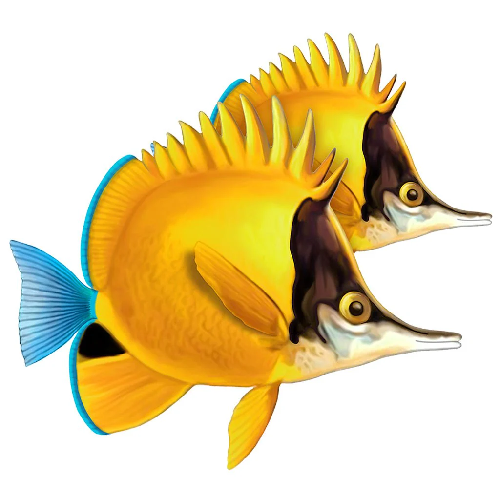 Longnose Butterflyfish Double - Pool Mosaic