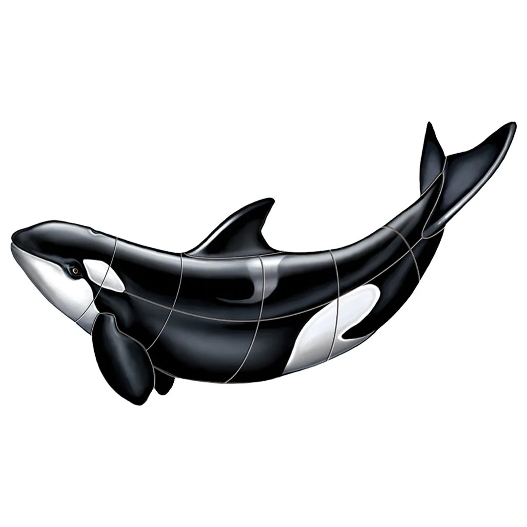 Orca - Pool Mosaic