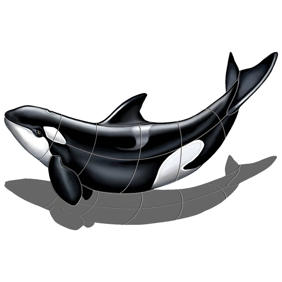 Orca w/ Shadow - Pool Mosaic