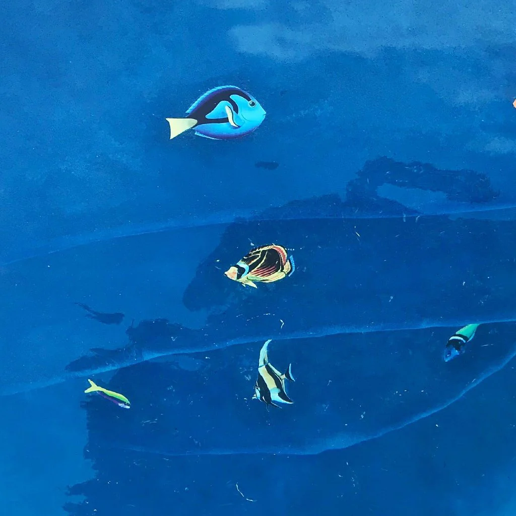 Raccoon Butterflyfish - Pool Mosaic - Image 2