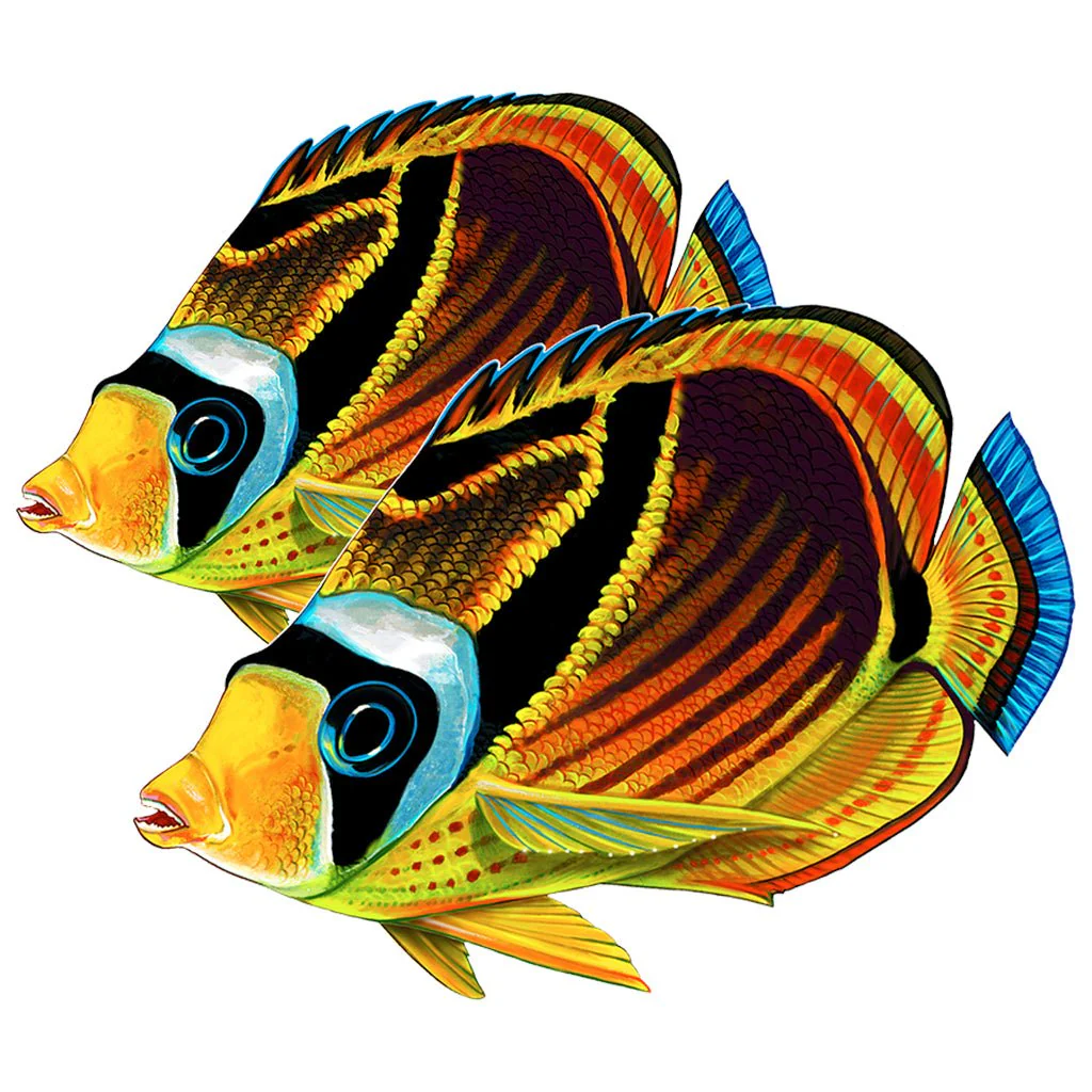 Raccoon Butterflyfish (Double) - Pool Mosaic