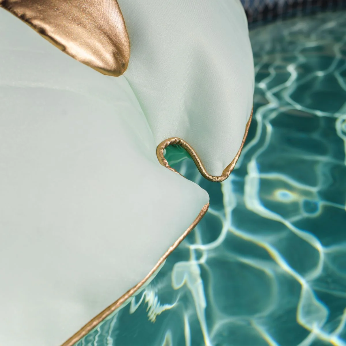 Sand Dollar - Pool Float - Image 5