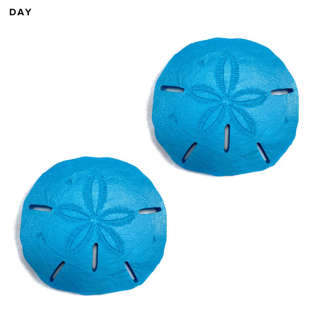 Sand Dollar x 2 - Glow in the Dark Pool Mosaics - Image 3