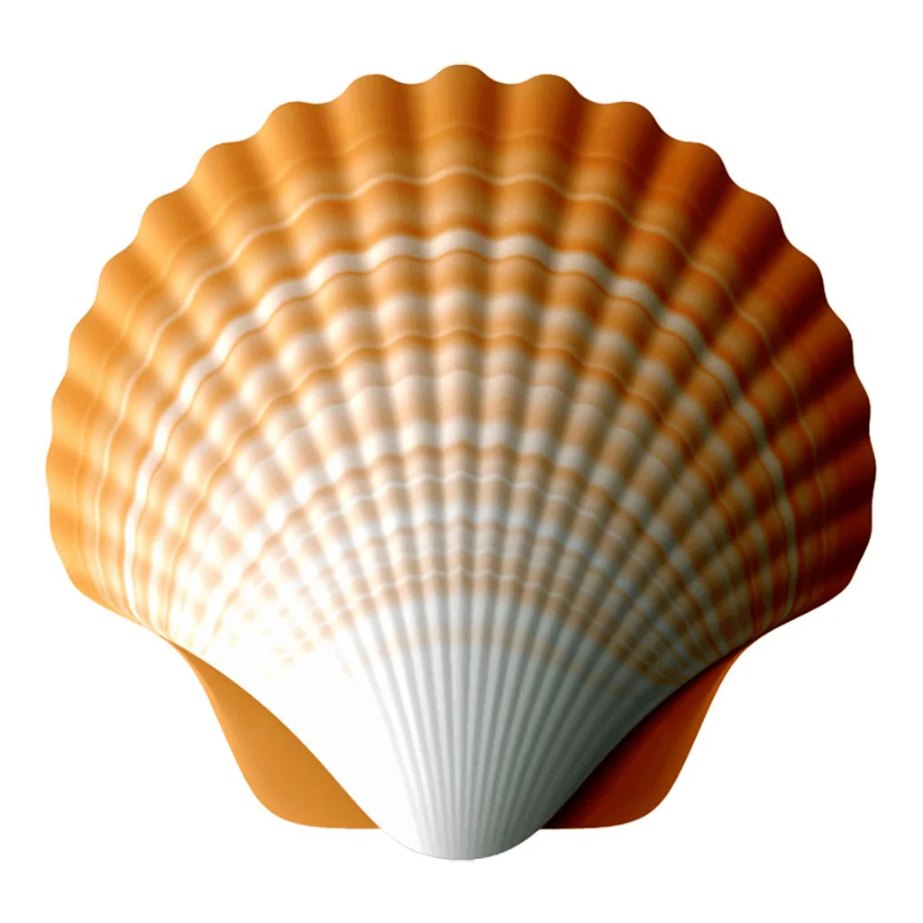 Scallop - Pool Mosaic